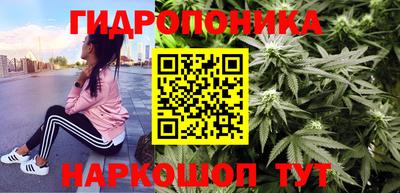 ешки Краснодар