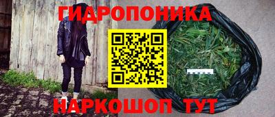 ешки Краснодар